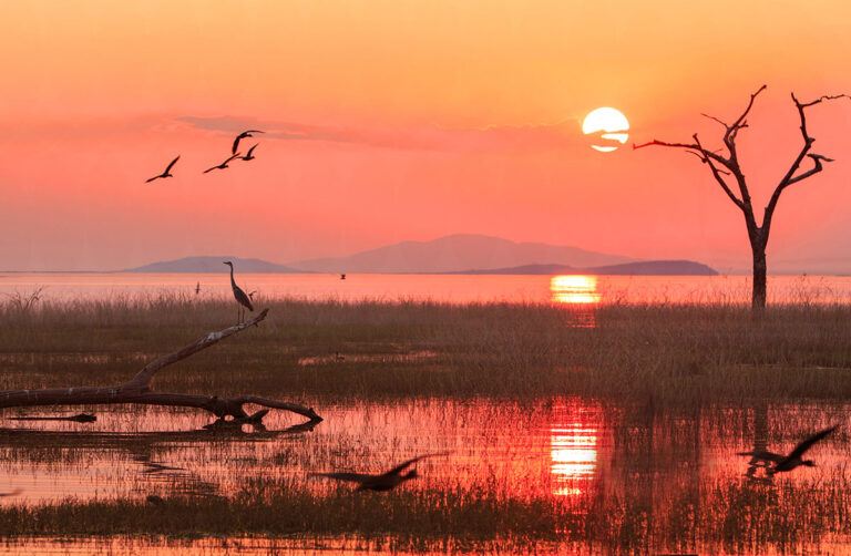 Lake Kariba, Zimbabwe. Image credit Paula French, Shutterstock (Travel Africa magazine)